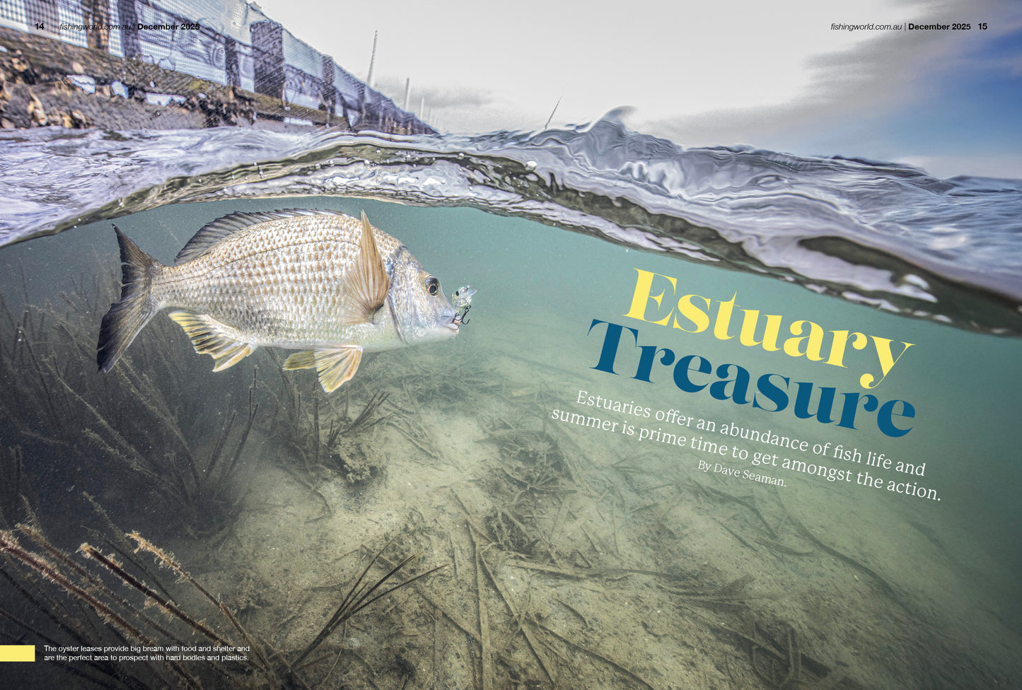 Fishing World Summer 2025 Edition